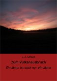 Zum Vulkanausbruch (eBook, ePUB)