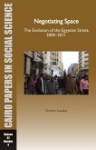 Negotiating Space: The Evolution of the Egyptian Street, 2000-2011