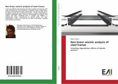 Non linear seismic analysis of steel frames - Ferrini, Marco