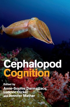 Cephalopod Cognition