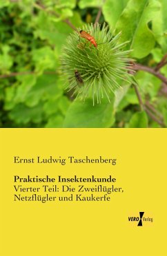 Praktische Insektenkunde - Taschenberg, Ernst Ludwig