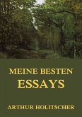 Meine besten Essays (eBook, ePUB)