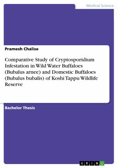 Comparative Study of Cryptosporidium Infestation in Wild Water Buffaloes (Bubalus arnee) and Domestic Buffaloes (Bubalus bubalis) of Koshi Tappu Wildlife Reserve (eBook, PDF) - Chalise, Pramesh