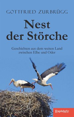 Nest der Störche (eBook, ePUB) - Zurbrügg, Gottfried