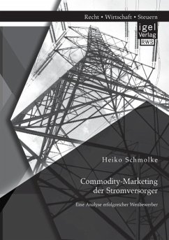 Commodity-Marketing der Stromversorger: Eine Analyse erfolgreicher Wettbewerber - Schmolke, Heiko