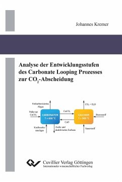 Analyse der Entwicklungsstufen des Carbonate Looping Prozesses zur CO2-Abscheidung - Kremer, Johannes
