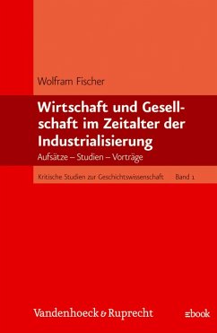 Cover Wirtschaft und Gesellschaft im Zeitalter der Industrialisierung (eBook, PDF)