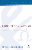 Prophet, Son, Messiah (eBook, PDF)