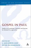 Gospel in Paul (eBook, PDF)