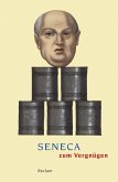 Seneca zum Vergnügen (eBook, ePUB)