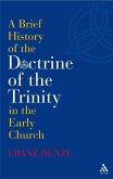A Brief History of the Doctrine of the Trinity in the Early Church (eBook, PDF)