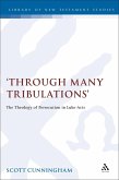 Through Many Tribulations (eBook, PDF)
