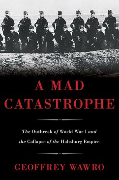 A Mad Catastrophe (eBook, ePUB) - Wawro, Geoffrey