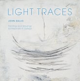 Light Traces (eBook, ePUB)