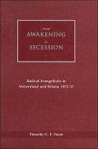 From Awakening to Secession (eBook, PDF)