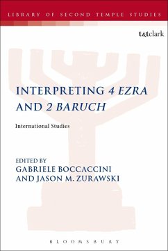 Cover Interpreting 4 Ezra and 2 Baruch (eBook, PDF)