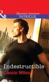 Indestructible (eBook, ePUB)