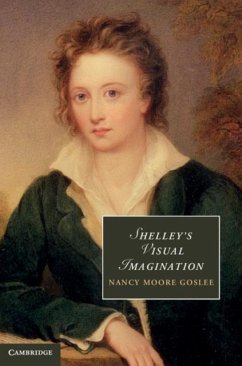 Shelley's Visual Imagination (eBook, PDF) - Goslee, Nancy Moore