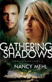 Gathering Shadows (Finding Sanctuary Book #1) (eBook, ePUB)