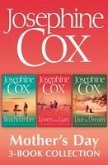 Josephine Cox Mother's Day 3-Book Collection: Live the Dream, Lovers and Liars, The Beachcomber (eBook, ePUB)