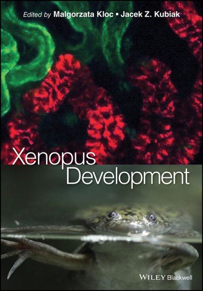 Xenopus Development (eBook, PDF)