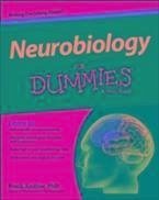 Neurobiology For Dummies (eBook, PDF) - Amthor, Frank
