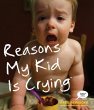 Reasons My Kid Is Crying (eBook, ePUB) - Bild 1