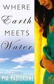 Where Earth Meets Water (eBook, ePUB)