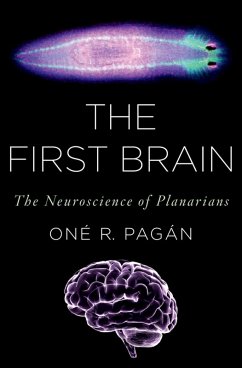 Cover The First Brain (eBook, ePUB)