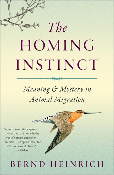 The Homing Instinct (eBook, ePUB) von Bernd Heinrich - Portofrei bei  bücher.de