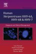 Human Herpesviruses HHV-6A, HHV-6B and... - Bild 1