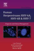 Human Herpesviruses HHV-6A, HHV-6B and HHV-7 (eBook, ePUB)