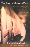 Court of Common Pleas (eBook, ePUB) Court of Common Pleas (eBook, ePUB)