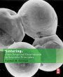 Sintering: From Empirical Observations... - Bild 1