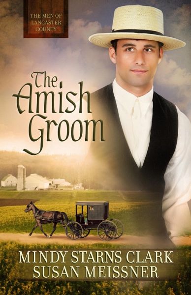 Amish Groom (eBook, ePUB)