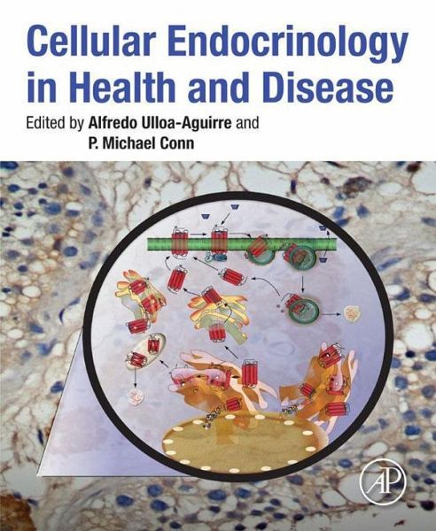 Cellular Endocrinology in Health and Disease (eBook, ePUB) Cellular Endocrinology in Health and Disease (eBook, ePUB)