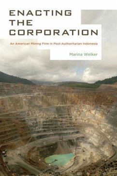 Enacting the Corporation (eBook, ePUB) - Welker, Marina