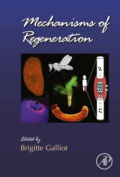 Cover Mechanisms of Regeneration (eBook, ePUB)