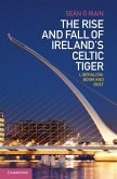 Rise and Fall of Ireland's Celtic Tiger (eBook, ePUB)