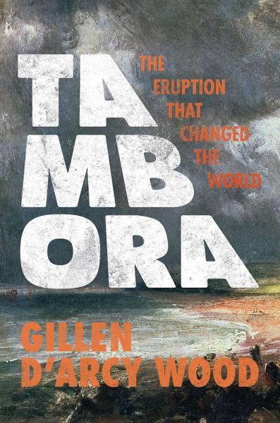 Tambora (eBook, ePUB)