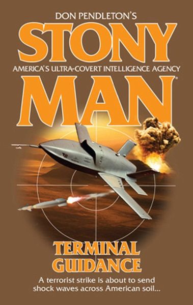 Terminal Guidance (eBook, ePUB)