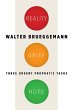 Reality, Grief, Hope (eBook, ePUB) - Bild 1