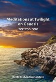 Meditations at Twilight on Genesis