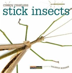 Stick Insects - Bodden, Valerie