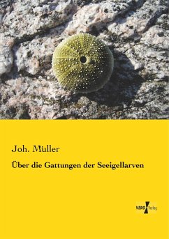 Über die Gattungen der Seeigellarven - Müller, Joh.