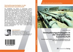 Vermarktungsstrategien in der liberalisierten Gaswirtschaft - Mayerhofer, Jürgen