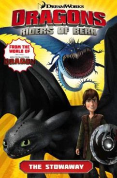 DreamWorks' Dragons: Riders of Berk - Furman, Simon
