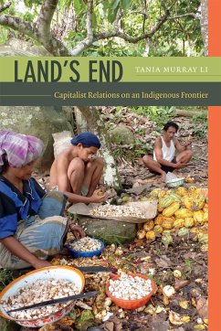 Land's End - Li, Tania Murray