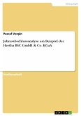 Jahresabschlussanalyse am Beispiel der Hertha BSC GmbH & Co. KGaA