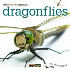 Dragonflies - Bodden, Valerie